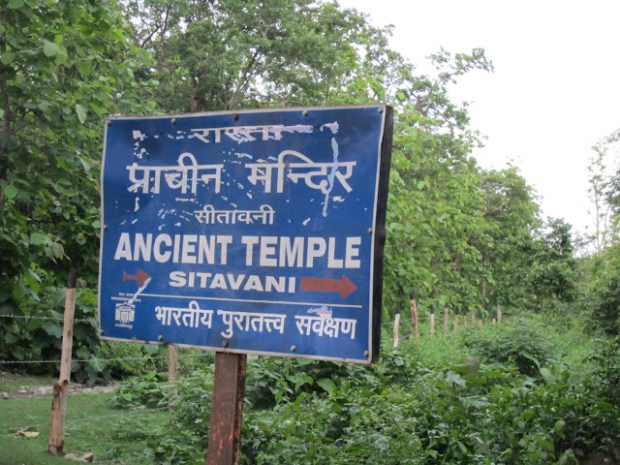 A weathered blue sign pointing to the Ancient Temple of Sitabani, surrounded by lush green vegetation in Jim Corbett National Park, India.